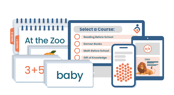 Teach Your Baby Reading, Math & More | Premium Doman Bundle
